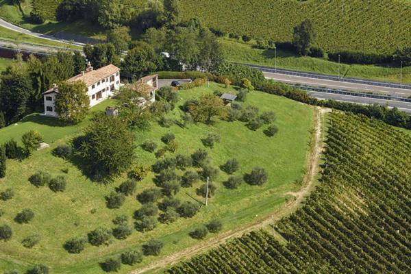 Agriturismo La Vigna Di Sarah Виторио Венето Екстериор снимка